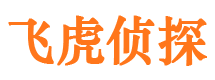 兴和侦探公司